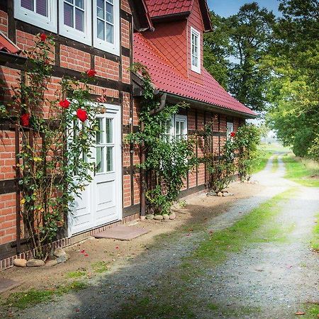 Landhaus Elbeflair Apartment Bei Doemitz Lenzerwische 외부 사진