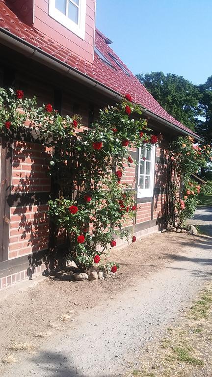 Landhaus Elbeflair Apartment Bei Doemitz Lenzerwische 외부 사진